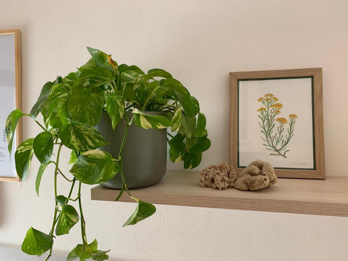 Elicriso Home Porto Torres Exterior photo